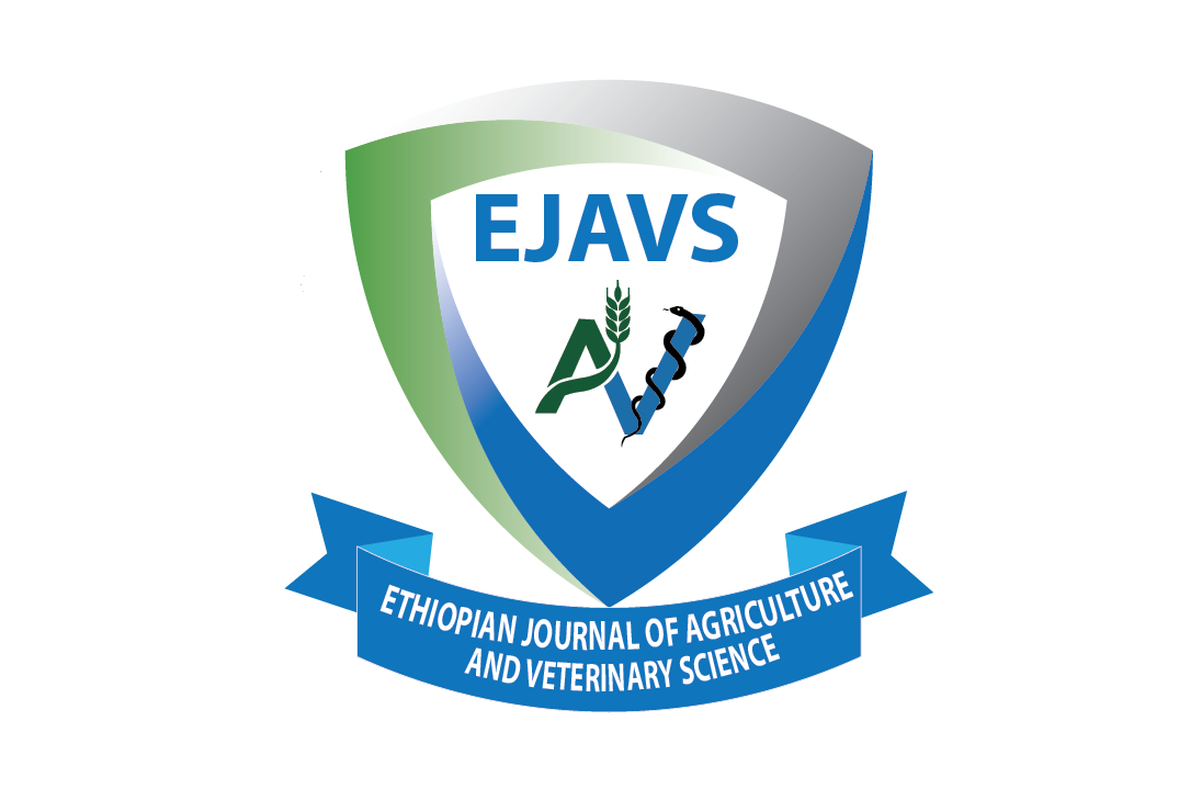 EJAVS Logo